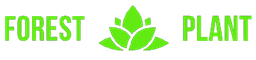 Forest Plant Forest Plant